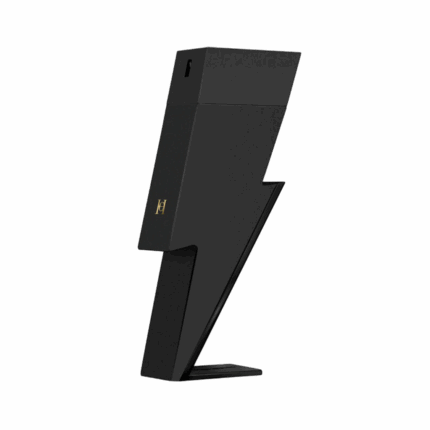 BAD BOY LE PARFUM